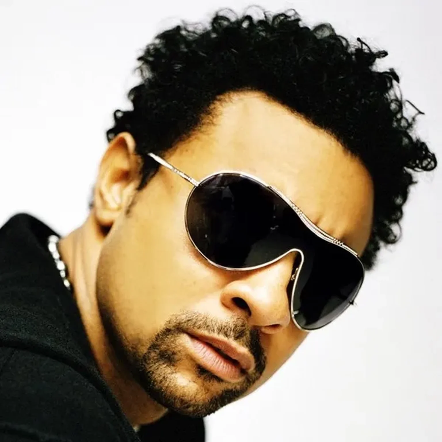 Shaggy null