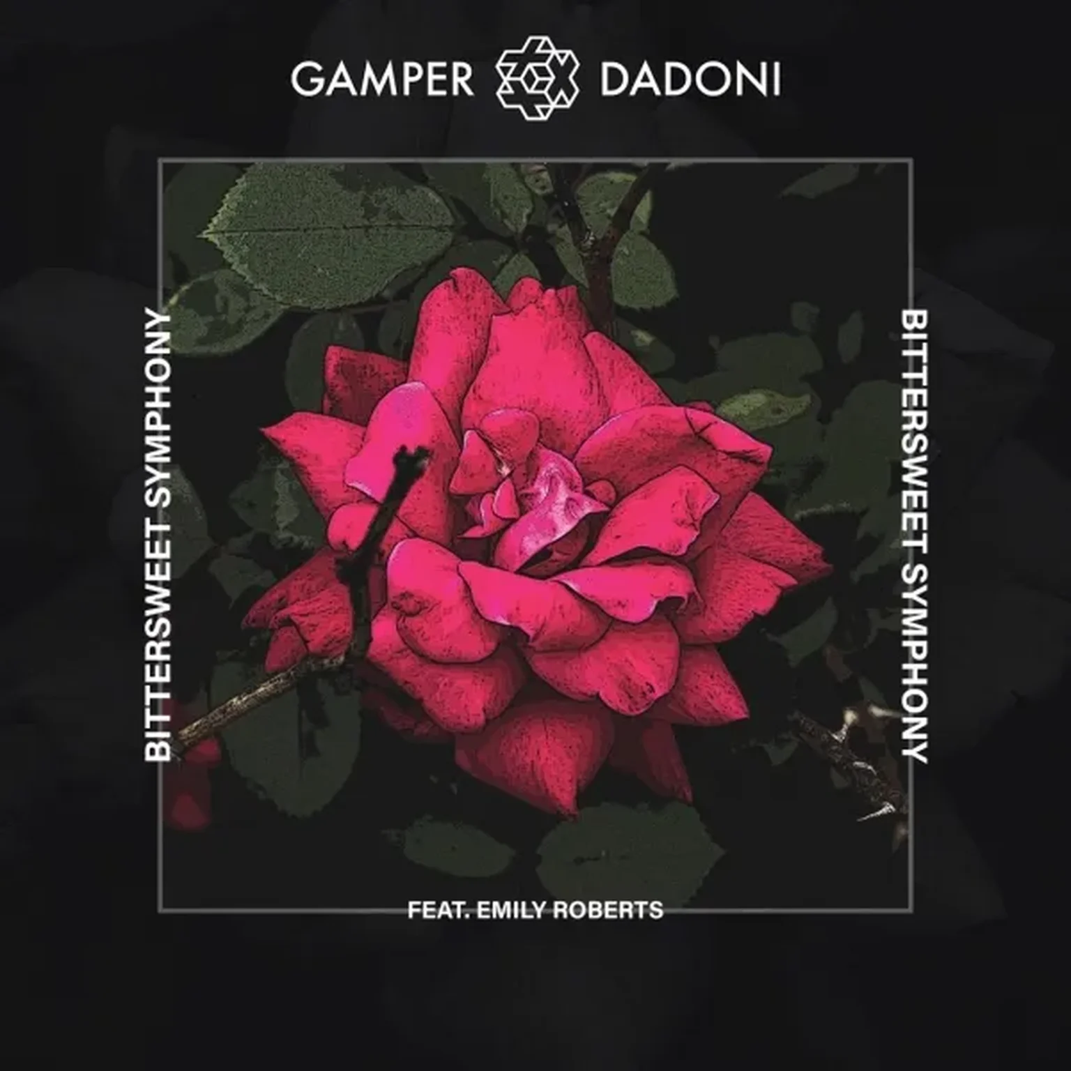 Gamper & Dadoni null
