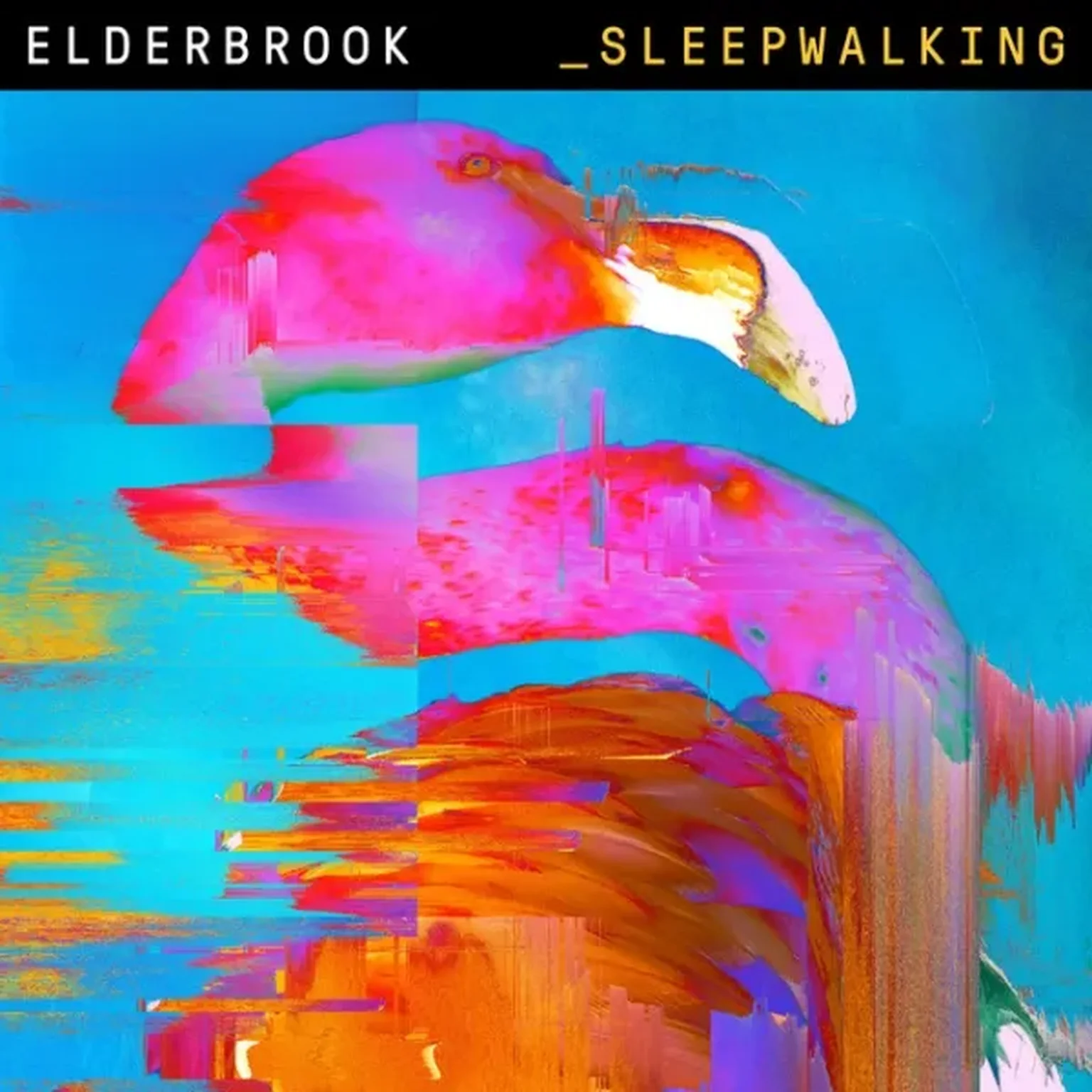 Elderbrook null